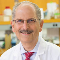 Dr. Lee Helman
