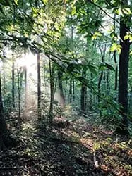 Ultimate Hike Adventures