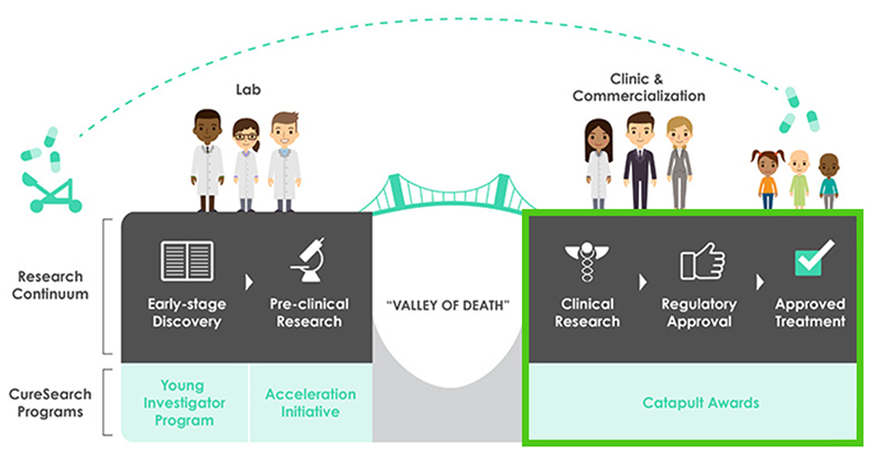 Catpult Research Strategy Infographic - Catapult Awards