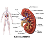 Kidney Tumors
